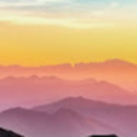 Meet your Posher, Alex - Picture 1 of 1